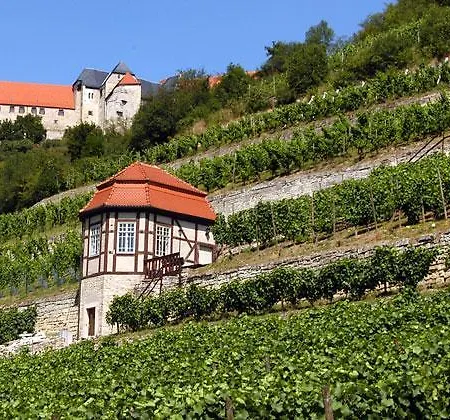 Guest house Geiseltal- See 3*